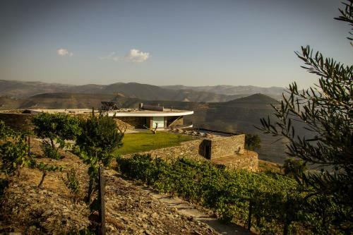 Quinta Vale Das Papas