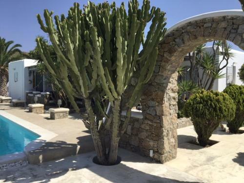 Apartamento Peristeronas Village