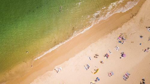 Apartamento Sol & Cidade 73 By Destination Algarve