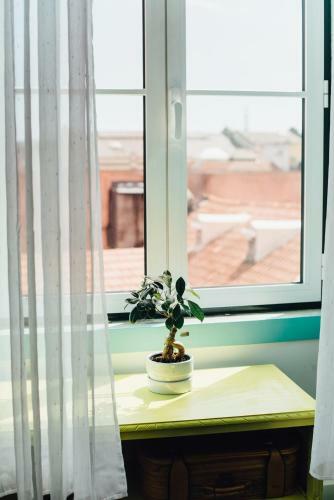 Bed & Breakfast C&o Guest House Lisbon