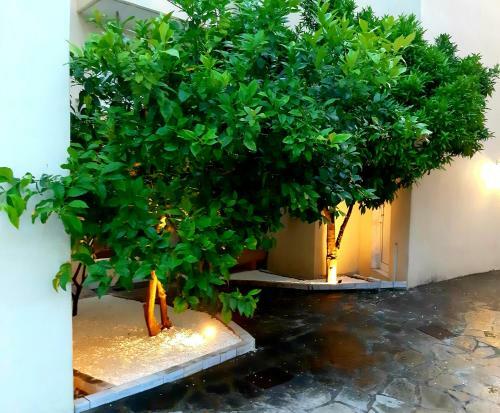 Hotel Philoxenia Inn