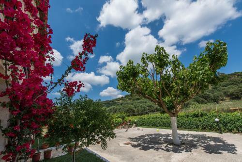 Apartamento Pansion Porto Tsi Ostrias