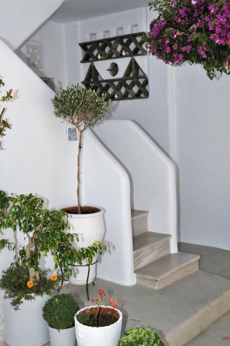 Hostal Eleftheria Veloudiou