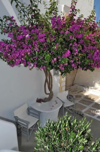 Hostal Eleftheria Veloudiou