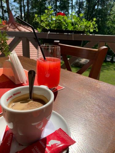 Hotel Pensiunea Favorit Ferice