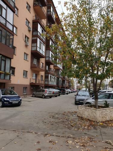 Luxury Apartment Dan