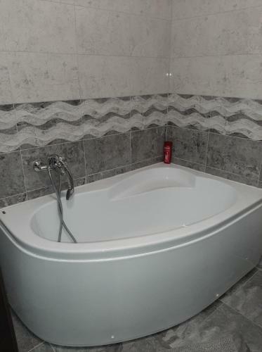 Luxury Apartment Dan