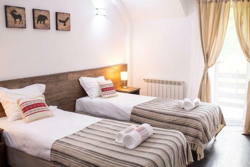 Hotel Floare De Colt