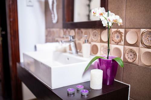 Hotel Floare De Colt