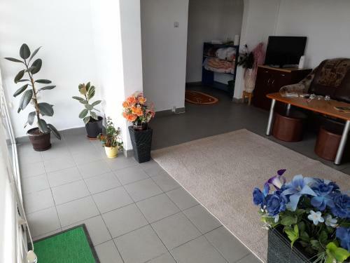 Apartament 1 Decembrie 1918