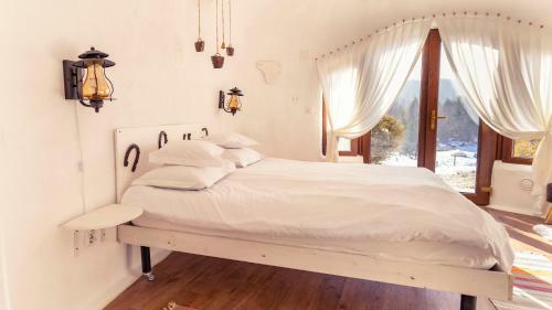 Hostal Pensiunea Dealul Verde