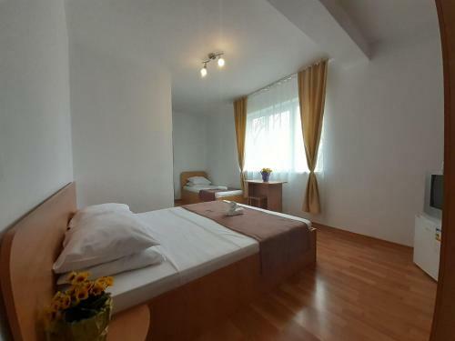 Hostal Vila Raysa Si Andrei Costinesti