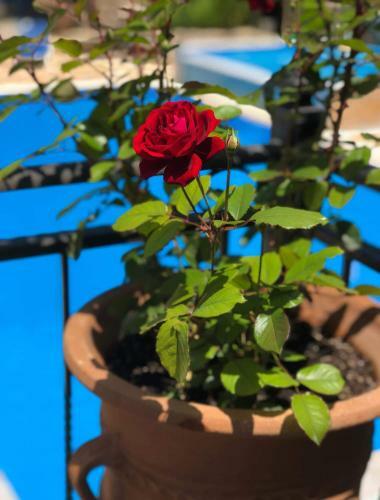Apartamento Arianna