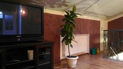 Apartamento Casa Da Lucia