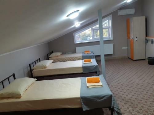 Albergue ?????? ????????