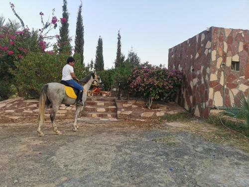 Hostal Naseem Al Atheeb Country House