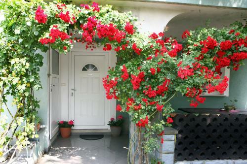 Apartamentos Green Place Portoroz Rc