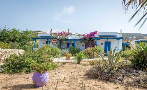 Apartamento Firoa Studios