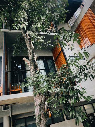 Hotel Lamphu House Chiang Mai