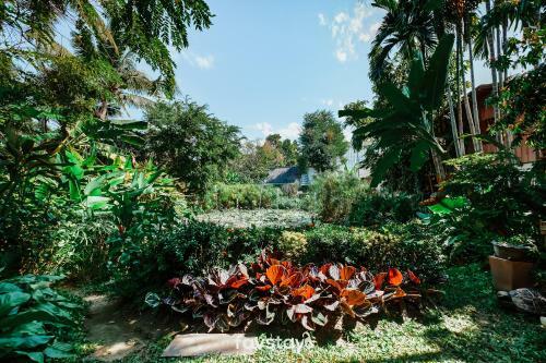 Hotel Viang Thapae Chiang Mai Resort