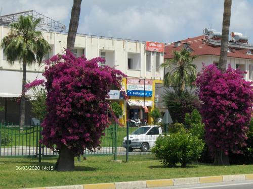 Bed & Breakfast Odessa Otel Avsallar