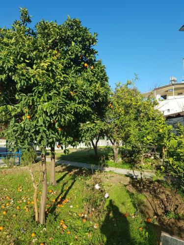 Villa Seafront V?lla , 5 Star Hotel Side And Natural L?fe ,belek