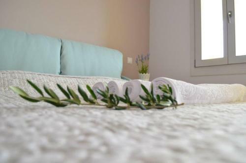 Hostal Romanza Studios