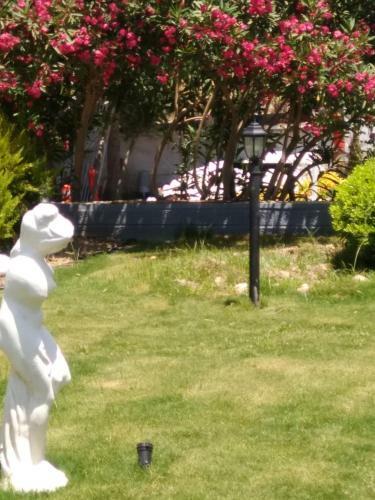 Merveille Suit Hotel