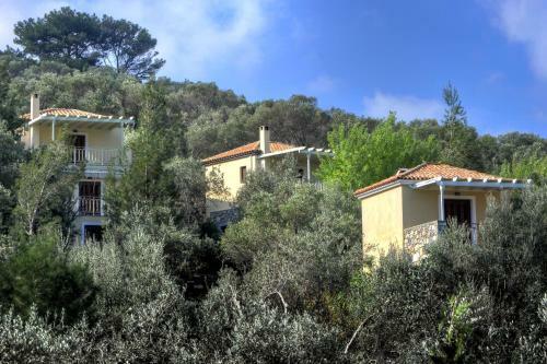 Hostal Gera's Olive Grove (elaionas Tis Geras)
