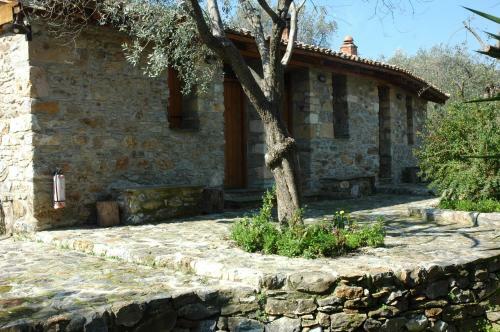 Hostal Gera's Olive Grove (elaionas Tis Geras)