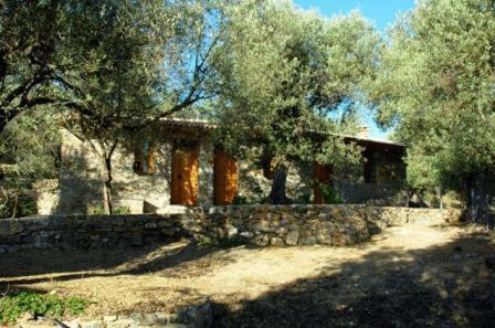 Hostal Gera's Olive Grove (elaionas Tis Geras)