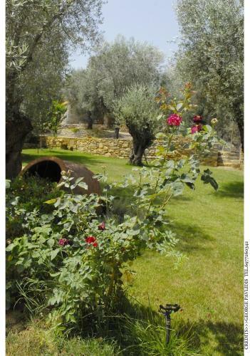 Hostal Gera's Olive Grove (elaionas Tis Geras)