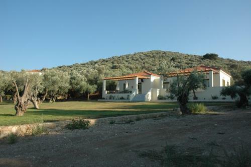 Hostal Gera's Olive Grove (elaionas Tis Geras)