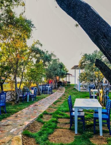 Hotel Zeytin Dal? Butik Otel & Beach