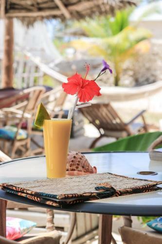 Bed & Breakfast Yellow Card Apartment & Bungalows