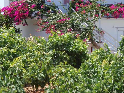 Apartamento Villas Michalis