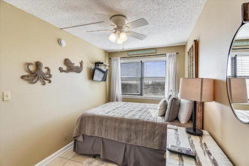 Island Shores 151