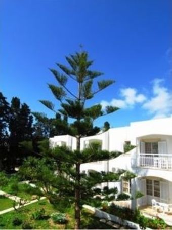 Aparthotel Irene Hotel