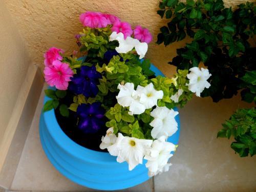 Apartamento Studios Papafotis