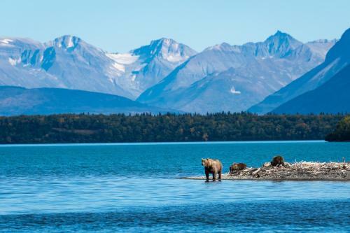 Pink Salmon - Kenai Kuik Cabins - Riverfront Dock Cabin