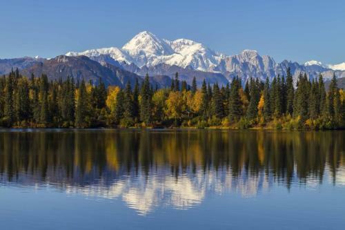 Pink Salmon - Kenai Kuik Cabins - Riverfront Dock Cabin