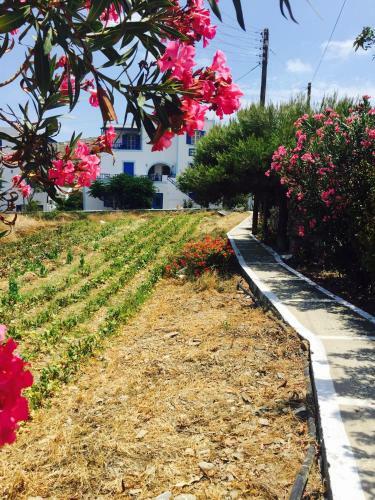 Apartamento Pension Galini