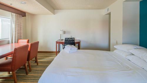 Wanderjaunt - North Phoenix Apartments