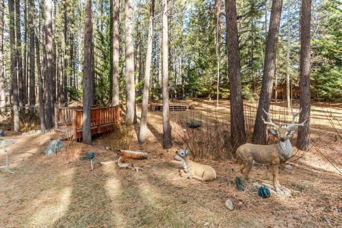 Alpenhorn Lodge-1903 By Big Bear Vacations