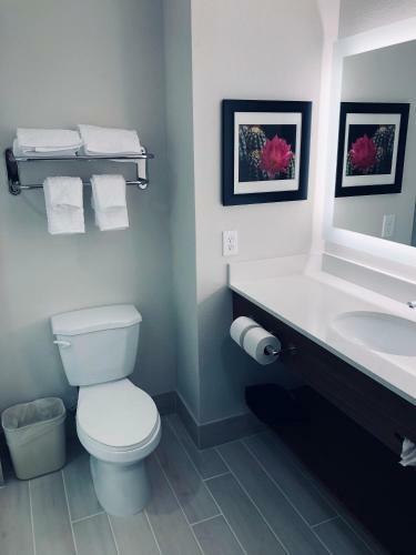 Hotel Best Western Plus Desert View Inn & Suites