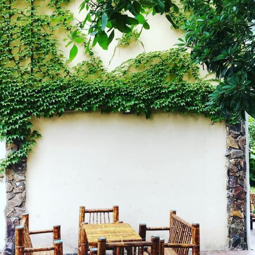 Green Hotel