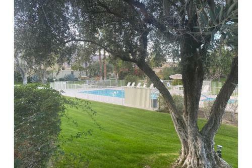 Saddlerock Garden Haven By Oranj Palm