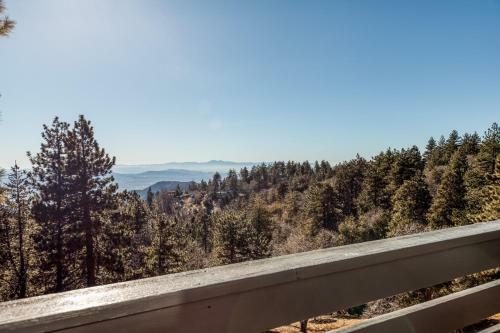 All View Pines