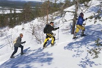 Holiday Club Salla Hotel Revontuli