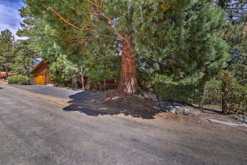 Wrightwood House With Fire Pit - Hike And Ski Nearby!